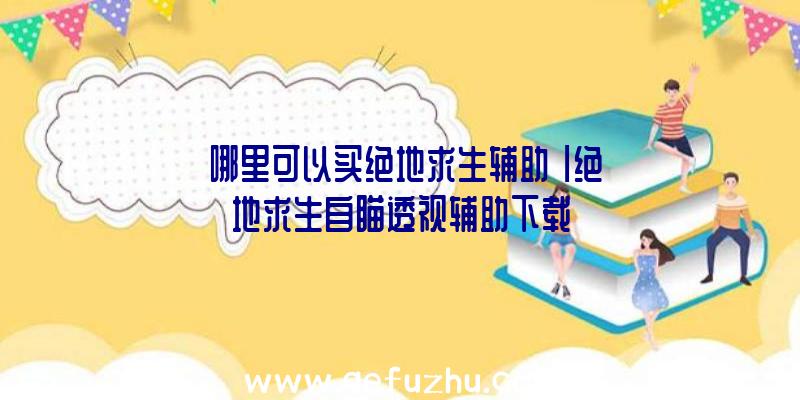 「哪里可以买绝地求生辅助」|绝地求生自瞄透视辅助下载